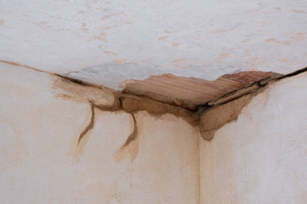 Best 24-hour water damage restoration  in Wilson, AR