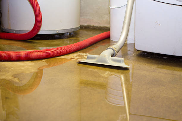 Reliable AR Water damage restoration Solutions